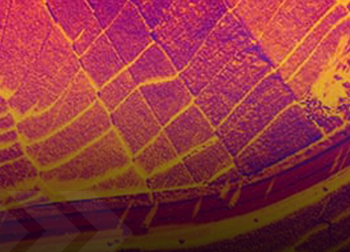 Infrared technology | Exosens