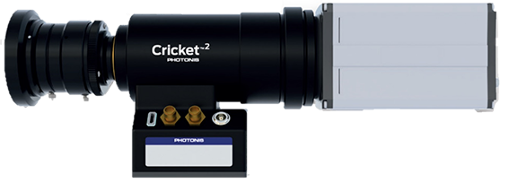 Cricket Image Intensifier