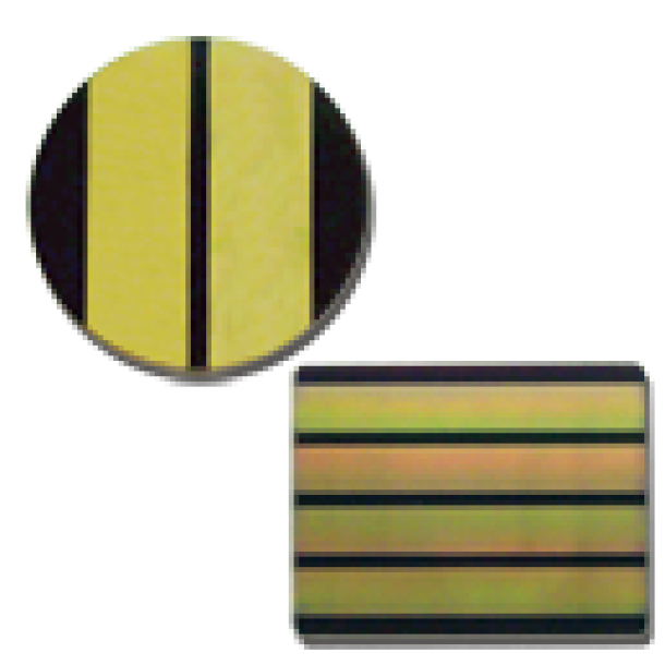 stripline-microchannel-plates